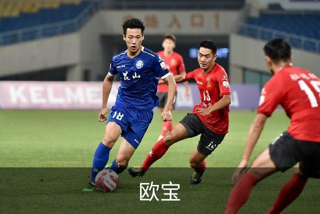 欧宝公司介绍图